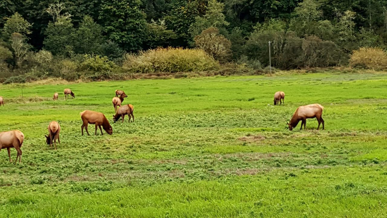 Winchester Bay Inn Reedsport Pokój zdjęcie